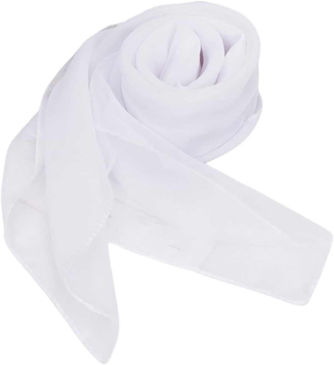 image:imageFAIRYGATE Seidenschal Damen Chiffon Elegante Seidentuch Haare Satintuch Halstuch Bandana Tuch Kopftcher Taschentuch Ansatz Scarf DA27Fdwxa2911
