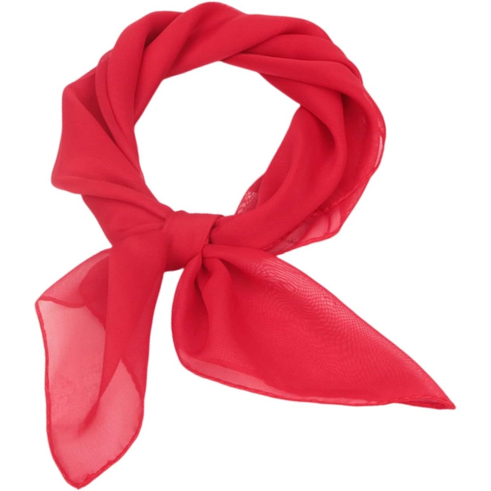 image:imageFAIRYGATE Seidenschal Damen Chiffon Elegante Seidentuch Haare Satintuch Halstuch Bandana Tuch Kopftcher Taschentuch Ansatz Scarf DA27Fdwxa2909