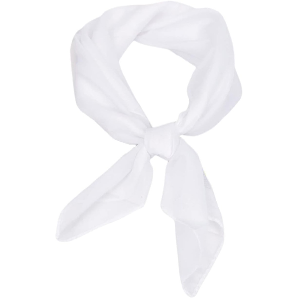 image:imageFAIRYGATE Seidenschal Damen Chiffon Elegante Seidentuch Haare Satintuch Halstuch Bandana Tuch Kopftcher Taschentuch Ansatz Scarf DA27Fdwxa2911