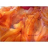 FAIRYGATE Schals & Tücher für Damen Modischer Damen Schal Stola Halstuch Tuch aus Chiffon für Frühling Sommer Ganzjährig(51028)