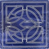 FAIRYGATE Seide Schal Damen Halstücher Seidentuch Schals Halstuch Seidenschal Scarf Bandana Taschentuch Handgelenk Kopftücher Einheitsgröße 78(Fdas28012)