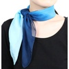 FAIRYGATE Seidenschal Damen Chiffon Elegante Seidentuch Haare Satintuch Halstuch Bandana Tuch Kopftücher Taschentuch Ansatz Scarf DA27(Da2716)