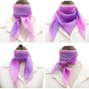 FAIRYGATE Seidenschal Damen Chiffon Elegante Seidentuch Haare Satintuch Halstuch Bandana Tuch Kopftücher Taschentuch Ansatz Scarf DA27(Fdwxa2623)