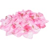 FAIRYGATE Seidenschal Damen Chiffon Elegante Seidentuch Haare Satintuch Halstuch Bandana Tuch Kopftücher Taschentuch Ansatz Scarf DA27(Fdwxa2808)