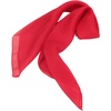 FAIRYGATE Seidenschal Damen Chiffon Elegante Seidentuch Haare Satintuch Halstuch Bandana Tuch Kopftücher Taschentuch Ansatz Scarf DA27(Fdwxa2909)