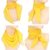 FAIRYGATE Seidenschal Damen Chiffon Elegante Seidentuch Haare Satintuch Halstuch Bandana Tuch Kopftücher Taschentuch Ansatz Scarf DA27(Fdwxa2912)