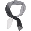 FAIRYGATE Seidenschal Damen Chiffon Elegante Seidentuch Haare Satintuch Halstuch Bandana Tuch Kopftücher Taschentuch Ansatz Scarf DA27(Da2718)