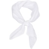 FAIRYGATE Seidenschal Damen Chiffon Elegante Seidentuch Haare Satintuch Halstuch Bandana Tuch Kopftücher Taschentuch Ansatz Scarf DA27(Fdwxa2911)