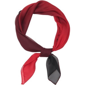 FAIRYGATE Seidenschal Damen Chiffon Elegante Seidentuch Haare Satintuch Halstuch Bandana Tuch Kopftücher Taschentuch Ansatz Scarf DA27(Da2715)