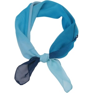 FAIRYGATE Seidenschal Damen Chiffon Elegante Seidentuch Haare Satintuch Halstuch Bandana Tuch Kopftücher Taschentuch Ansatz Scarf DA27(Da2716)