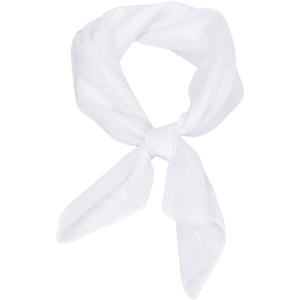 FAIRYGATE Seidenschal Damen Chiffon Elegante Seidentuch Haare Satintuch Halstuch Bandana Tuch Kopftücher Taschentuch Ansatz Scarf DA27(Fdwxa2911)