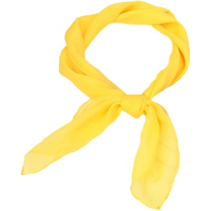 FAIRYGATE Seidenschal Damen Chiffon Elegante Seidentuch Haare Satintuch Halstuch Bandana Tuch Kopftücher Taschentuch Ansatz Scarf DA27(Fdwxa2912)